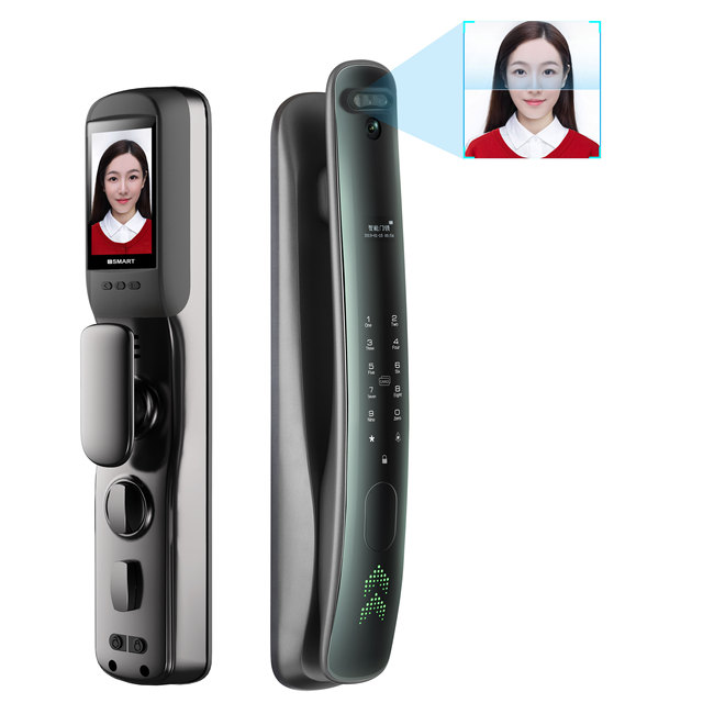 Biometric Fingerprint Security Smart Password Door Lock IC Card APP Wi-Fi Cloud Storage Aluminum Door Compatibility SDK/IP