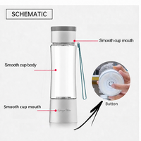 Bouteille Générateur d'Eau Hydrogénée Riche en H2, Électrolyse SPE PEM, 1400-2000 Ppb, Portable, Rechargeable USB Type-C, Ioniseur 450ml pour Voiture et Camping-car