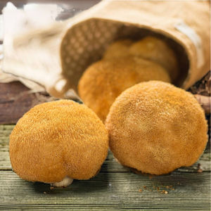 Alta Qualidade Deep-Mountain Hericium Erinaceus Secas Grandes Cogumelos Cocklebur Fresco Raw <span class=keywords><strong>Shiitake</strong></span> Fungo Extrato De Planta Inteira - Product Image 4