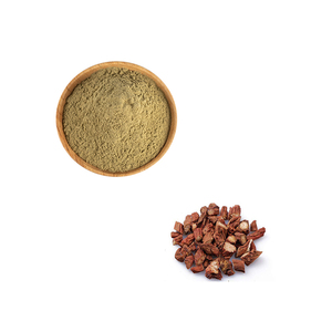 Органический экстракт корня Salvia Miltiorrhiza, порошок, Натуральный Экстракт Salvia Miltiorrhiza - Product Image 3