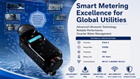 Compteur d'eau ultrasonique LoRaWAN pour la surveillance intelligente des services publics, compteur d'eau ultrasonique à temps de transit personnalisé