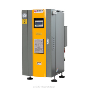 Nueva Caldera Vertical Automática New Future de 18-36kW, Secadora de Ropa de Acero al Carbono para Negocios, 1 Año de Garantía, Rendimiento Estable de 50kg/h - Product Image 6