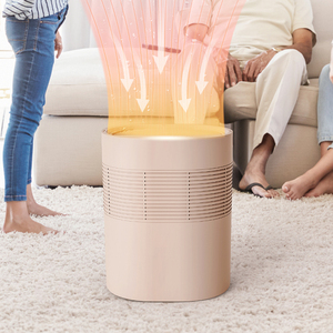 Kinscoter-deshumidificador pequeño para habitación, secador portátil, deshumidificador para clima húmedo, la mejor oferta - Product Image 4