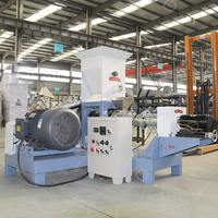 Ligne de production complète 500 kg/h pour extrudeuse de granulés humides – Machine de fabrication d'aliments pour animaux de compagnie (chiens, poissons, lapins, crevettes)