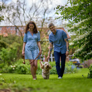 Arnés de cuero personalizado para perros, logotipo personalizado de lujo ajustable para mascotas, <span class=keywords><strong>collar</strong></span> liso de cuero Pu para mascotas para perros - Product Image 6