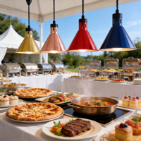 Lampu Pemanas Makanan Gantung Retractable Stainless Steel Komersial Infrared untuk Prasmanan Restoran Katering