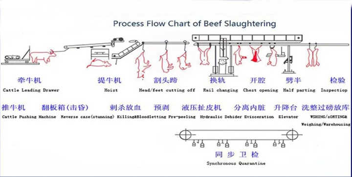 MSMT 50-300牛屠宰线清真牛屠宰设备牛肉屠宰场屠宰旋转箱| Alibaba.com