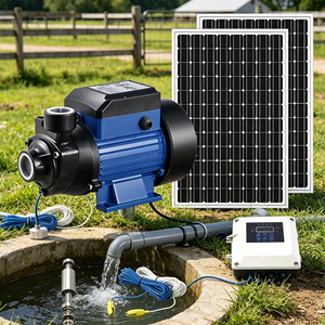 热销220V- OEM带供水功能QB带24L水箱自动高压水泵家用自吸式清水泵 - Product Image 5