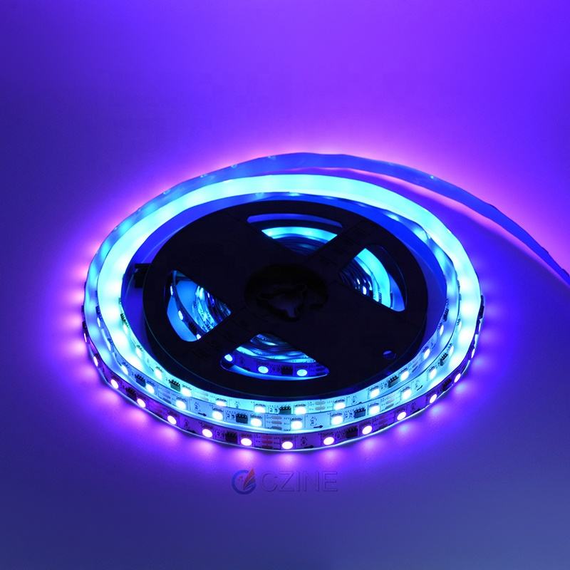 IP65 IP67 IP68 Rating Bright Garage LED Light Strip 5050 RGBIC Ws2811 Addressable Dream Color Chasing Effect Digital LED Strip