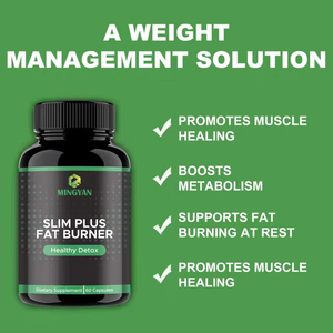 OEM/ODM Adult <b>Fat</b> <b>Burner</b> Capsules with Natural Green Tea & L-Carnitine Post-Workout Herbal Supplement Gluten-Free Vegan - Product Image 3