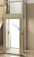 Ascenseur à traction moderne en acier inoxydable pour villas, facile à utiliser et à installer