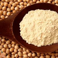 Séchoir à grains motorisé haute vitesse en acier inoxydable SUS304 à chauffage vapeur pour l'industrie agroalimentaire, séchage des aliments à forte humidité