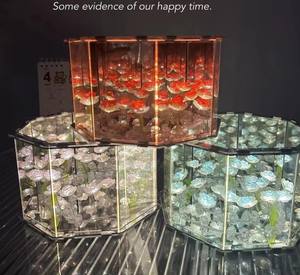 Lámpara <span class=keywords><strong>de</strong></span> tulipanes infinitos <span class=keywords><strong>de</strong></span> cubo creativo al por mayor, ramo <span class=keywords><strong>de</strong></span> tulipanes hecho a mano, espejo <span class=keywords><strong>de</strong></span> flores, luz <span class=keywords><strong>de</strong></span> noche Led <span class=keywords><strong>para</strong></span> niña - Product Image 2