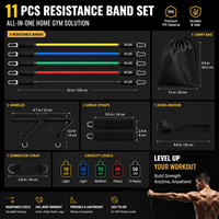 Set de 11 Bandas de Resistencia de TPE con Asas, Anclaje para Puerta y Correas para Tobillos, Kit de Entrenamiento de Cuerpo Completo para Gimnasio en Casa, Logotipo Personalizado