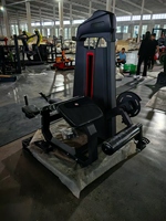 Machine de musculation professionnelle SK pour exercices Pec Fly et Deltéens Posterior, en acier Q235 de 3,0 mm, avec pile de poids de 100 kg, pour entraînement des pectoraux et des deltéens, équipement de gym