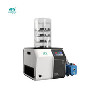 Lyophilisateur à cloche SCIENTZ-12NDA pour laboratoire domestique, équipement de traitement pour laboratoire scientifique, machines de transformation des fruits et légumes