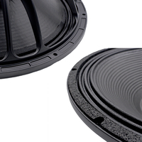 Subwoofer dual TJ-KS28 de 18 pulgadas para sistema de arreglo lineal PA, conjunto de altavoces de graves de neodimio de 18''.