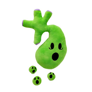 4135 уникальный зеленый мультяшный плюшевый человеческий орган кукла Забавный подарок для детей реалистичный мягкий фаршированный живот человеческий орган плюшевые игрушки - Product Image 1