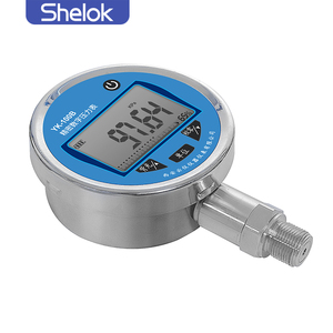 Jauge numérique Shelok pour le contrôle des processus eau, gaz, huile - Product Image 3