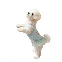 Robe de princesse pour chien Corgi, Shiba Inu, Bichon, Teddy – Mignonne, fine, en polycoton, protection UV, anti-chute de poils, idéale pour l'été
