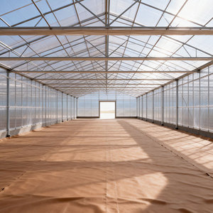 دفيئة زراعية تجارية كبيرة متعددة الامتدادات بطبقة واحدة من غشاء البولي إيثيلين، ذات هيكل ثابت وتكلفة منخفضة وعائد إنتاج مرتفع - Product Image 4