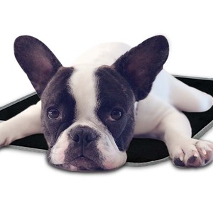 カスタムサイズペットポータブル防水Usb調節可能な温度犬猫暖房クッションパッドマット - Product Image 6