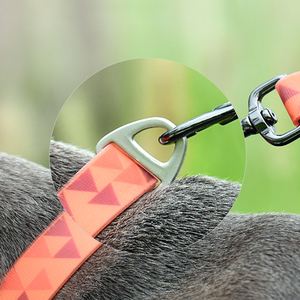 <span class=keywords><strong>Collar</strong></span> de colores para perro, correa de empalme, productos para mascotas, 2023 - Product Image 6