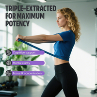 Poudre instantanée de Yerba Maté personnalisable OEM/ODM avec Magnésium et Vitamine D3 pour l'énergie, la concentration, le soutien immunitaire et la nutrition sportive