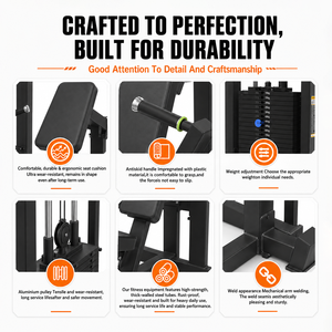 TOPTONS, nuevo estilo, máquina de uso doméstico, <span class=keywords><strong>polea</strong></span> cruzada de Cable montada en la <span class=keywords><strong>pared</strong></span> para Lat Pull Down Row, estación de Fitness, gimnasio de <span class=keywords><strong>pared</strong></span> - Product Image 2