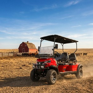 Voiturette de golf électrique 4 places, moteur AC 4,0 kW, suspension MacPherson, frein à double <span class=keywords><strong>circuit</strong></span>, pneus tout-terrain - Product Image 4