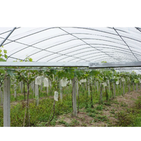 Serre hydroponique commerciale multi-voûtes et mono-voûtes de petite taille avec système de refroidissement automatique pour l'agriculture et le jardinage