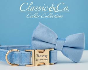 Collier et laisse pour chien personnalisés avec nom gravé, boucle en métal bleu ciel, clochette et nœud, livraison gratuite - Product Image 2
