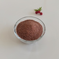 Abrasif de grenat alluvial LM 30-60 Mesh pour sablage, réalise une propreté de surface SA 2.5, coupe rapide et faible production de poussière