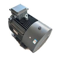 IE5 Haute Efficacité Innomotics 1LE8005-2AB53-3AA4 30kW 4 Pôles 200L Cadre en Fonte Robuste Triphasé Asynchrone