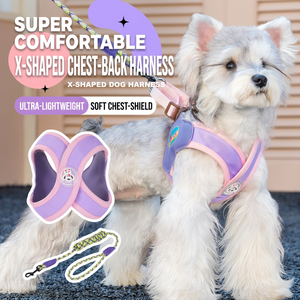 Arnés Acolchado en Forma de X para Perros, Ajustable, con Correa de Poliéster para Perros Pequeños, Medianos y Grandes - Product Image 1