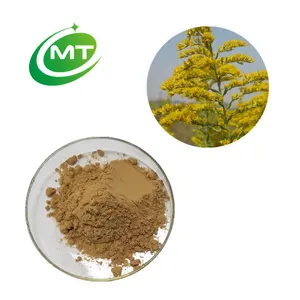 Extrato de Solidago Virgaurea orgânico natural de alta qualidade fornecido pela empresa ISO com amostra grátis