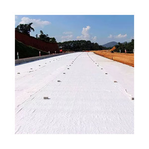 Membrane non tissée en HDPE haute résistance 110g-500g par <span class=keywords><strong>m2</strong></span>, tissu géotextile en polyester 200gsm, <span class=keywords><strong>prix</strong></span> 200g 250g 300g 350g 400g 500g PP - Product Image 5