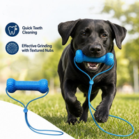Jouet à mâcher pour chien en caoutchouc réutilisable avec logo couleur personnalisé, pour nettoyer les dents, avec corde réglable pour chiens de petite, moyenne et grande taille