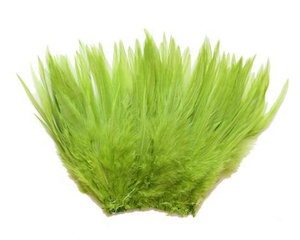 Pluma <span class=keywords><strong>de</strong></span> gallo <span class=keywords><strong>de</strong></span> pollo Hackle verde manzana teñida para manualidades DIY Material <span class=keywords><strong>de</strong></span> atado <span class=keywords><strong>de</strong></span> moscas pendiente <span class=keywords><strong>de</strong></span> pelo <span class=keywords><strong>de</strong></span> Carnaval costura disfraces <span class=keywords><strong>de</strong></span> Carnaval - Product Image 1