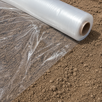 Film plastique pour serre de 200 microns, taille personnalisable, directement de l'usine, stabilisé aux UV, anti-goutte, couverture PE, filet anti-insectes/ombrage pour