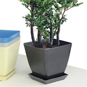 Pots de fleurs en <span class=keywords><strong>bambou</strong></span> durables et réutilisables, 12 pièces, <span class=keywords><strong>pour</strong></span> l'intérieur et l'<span class=keywords><strong>extérieur</strong></span> - Product Image 4