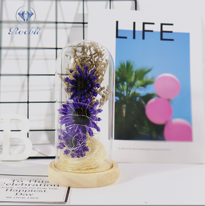 Fleurs Offre Spéciale créatives avec base en <span class=keywords><strong>bois</strong></span> couverture en verre roses PE - Product Image 3