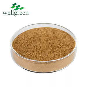 Wellgreen Fornece Extrato de <span class=keywords><strong>Agaricus</strong></span> <span class=keywords><strong>Bisporus</strong></span> Polissacarídeo de Cogumelo Botão Branco Natural 30% - Product Image 2