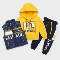Children's Clothing Sets, Sweat Suits, Hoodies, Boys