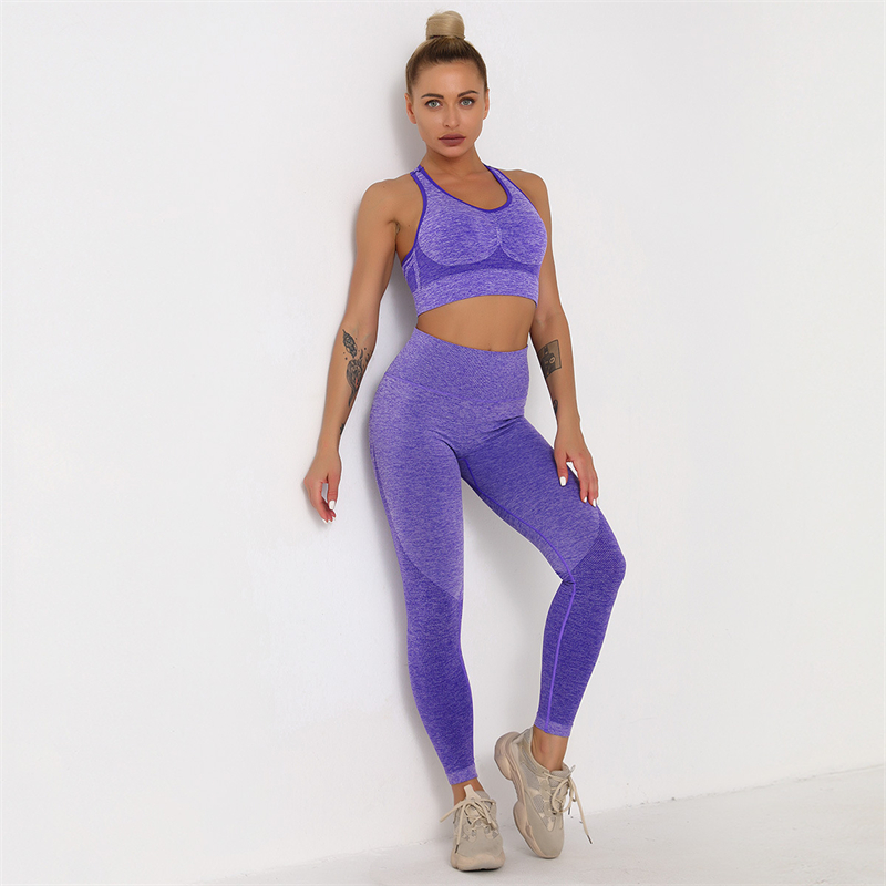 New Fashion Modern Breathable Workout Clothing Women Active Wear  Yoga Pants  BRA  5 colors