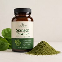Poudre de Myrtille Naturelle FVP-16 Qualité Alimentaire Sauvage Riche en Nutriments Poudre Végétale Verte Déshydratée en Fût/Bouteille