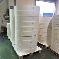 Ventail de gobelet en papier vierge simple ou double PE 180gsm 230gsm 250gsm pour la fabrication de gobelets en papier