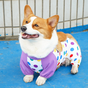 Corgi Dustproof <b>Pants</b> Four <b>Seasons</b> Moisture Proof Pet Bellyband Protective Clothing <b>for</b> <b>Dogs</b> Travel Use - Product Image 4