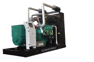 <span class=keywords><strong>Générateur</strong></span> de biogaz 100 kW électrique, <span class=keywords><strong>gaz</strong></span> <span class=keywords><strong>naturel</strong></span>, syngaz, Stamford, super silencieux, pour ferme avicole, porcine, canicole, digesteur, centrale électrique - Product Image 3