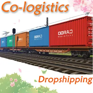 Wholesale 40ft 40HQ Used Empty Container Shipping Container Used Dry Container Sea Shipping From China Port